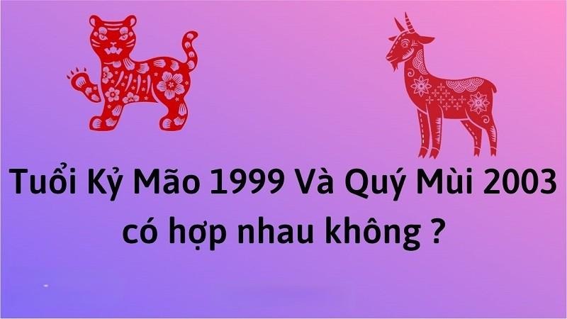 Giải đáp: chồng 1999 vợ 2003 có hợp không?