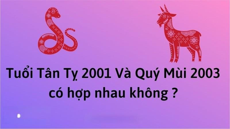 Cùng giải đáp: Chồng 2001 vợ 2003 có hợp không?