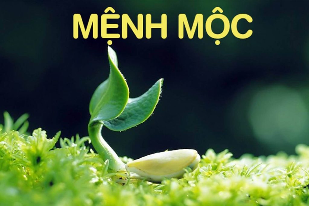 mộc với mộc có hợp không