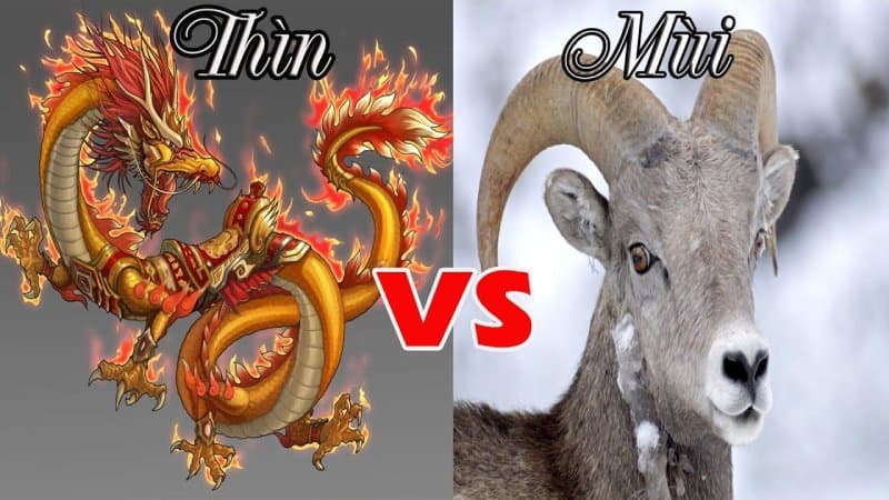 Tổng quan về Nam Canh Thìn và nữ Quý Mùi