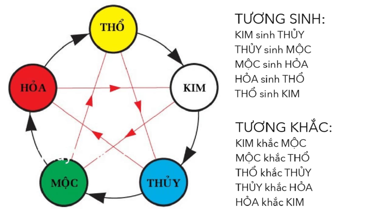 Kết luận: Mệnh Thủy và Mộc có hợp không?