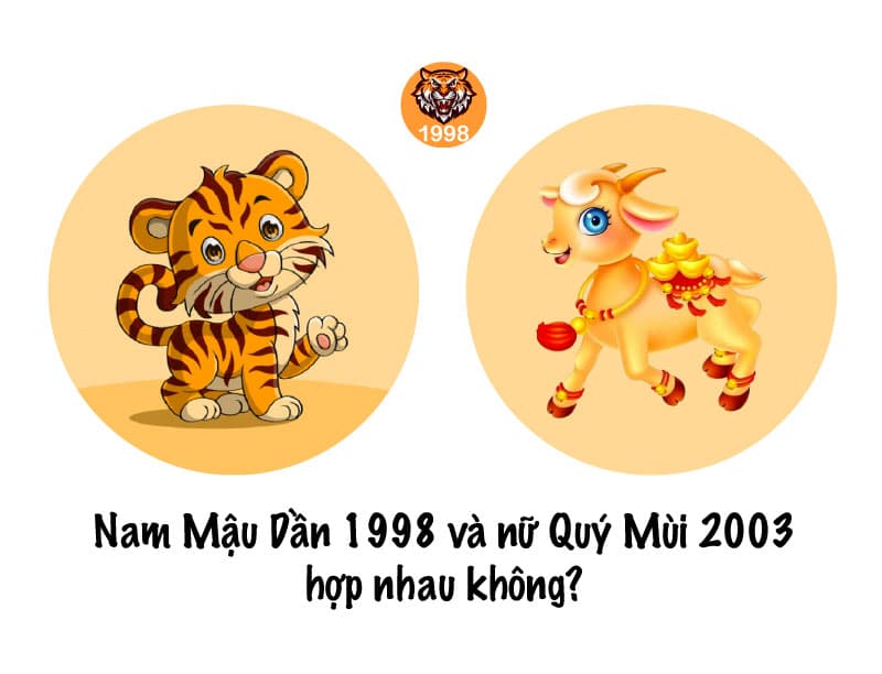 1998 và 2003 có hợp không? Giải mã sự hòa hợp trong tử vi và phong thủy