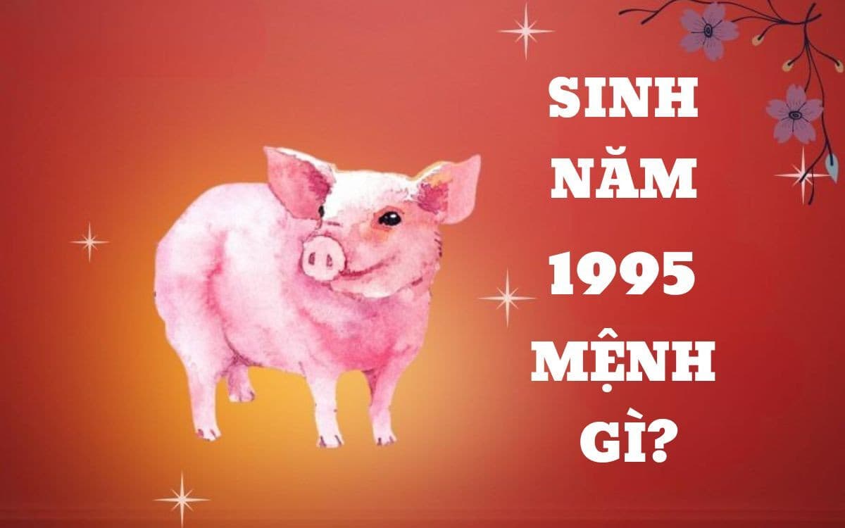 Tổng quan về người sinh năm 1995 và 2003