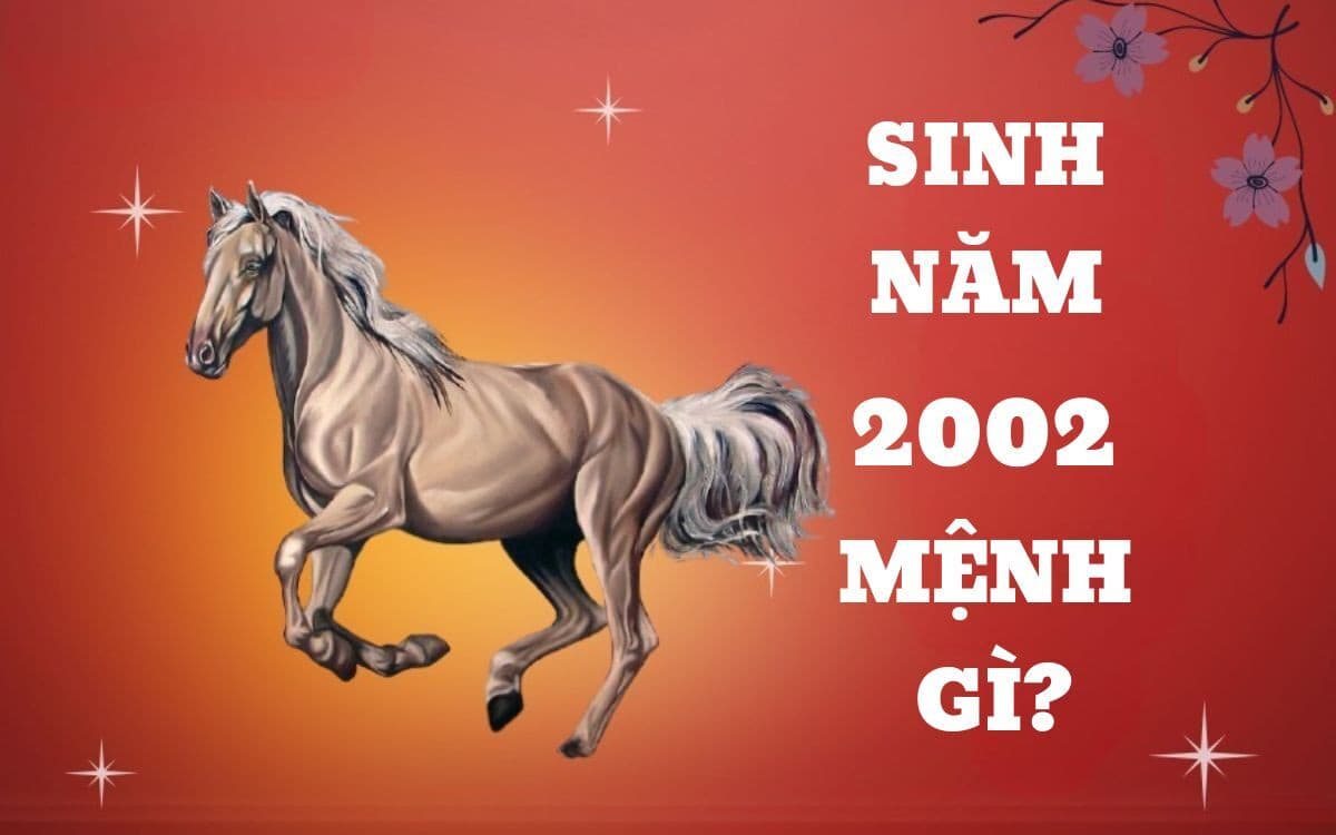 Tổng quan về năm sinh 2002 và 2005