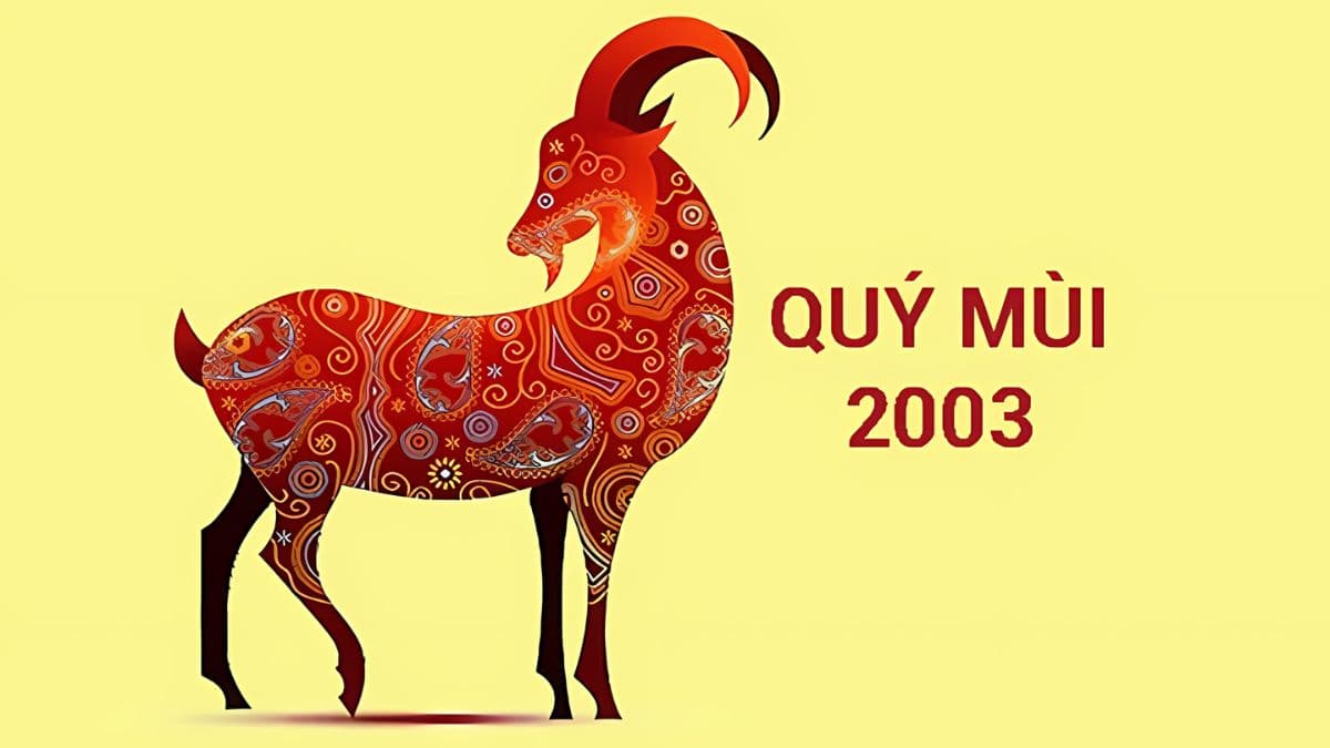 Tìm hiểu về mệnh lý của người sinh năm 2003 và 2004