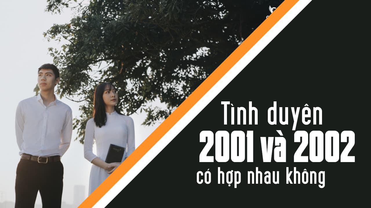 2001 và 2002 Có Hợp Không? Giải Mã Tính Cách và Độ Hòa Hợp Theo Phong Thủy