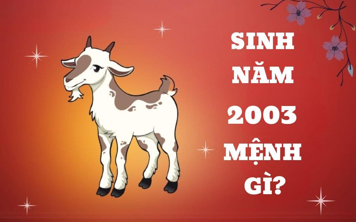 Người sinh năm 2003