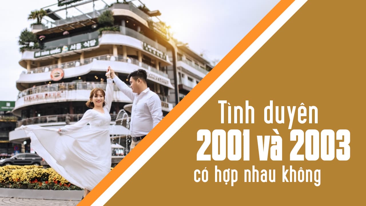 Giải Đáp Thắc Mắc: 2001 Với 2003 Có Hợp Không – Phân Tích Chi Tiết