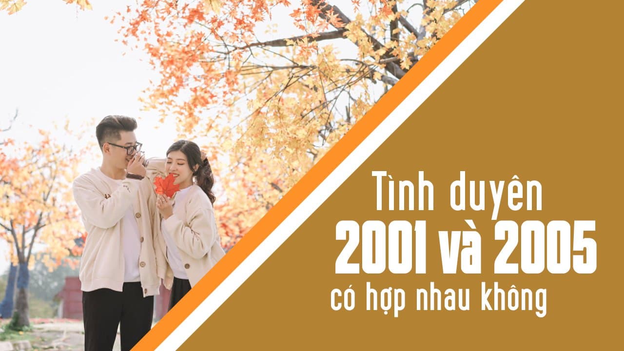 2001 với 2005 có hợp không? Tìm hiểu mối quan hệ giữa hai con giáp