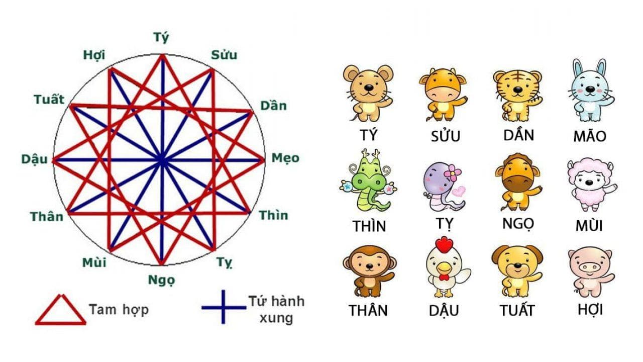 Vợ tuổi Tỵ chồng tuổi Ngọ có hợp không? Góc nhìn phong thủy và cách hóa giải