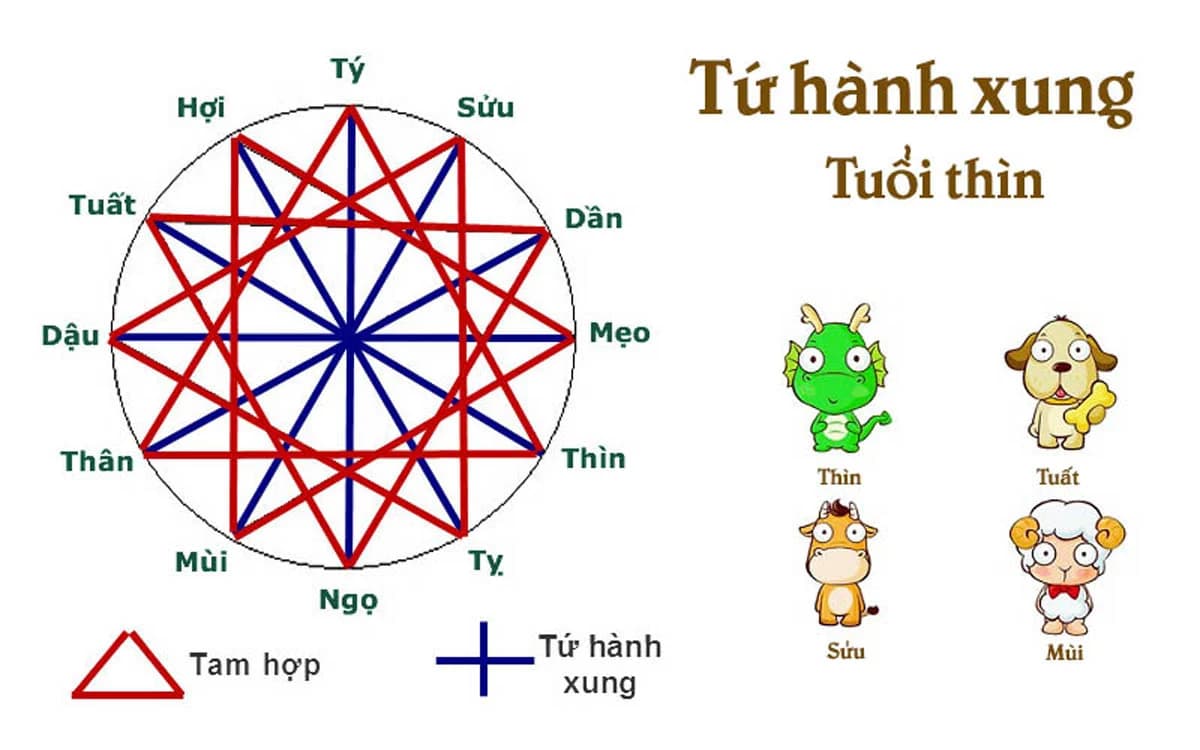 Luận giải thắc mắc: Thìn Tuất Sửu Mùi có hợp không?