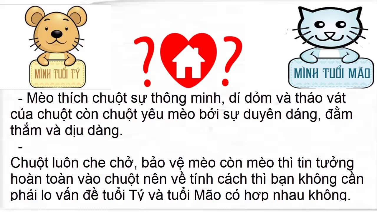 Góc giải đáp: Tý với Mão có hợp không? Những lưu ý quan trọng