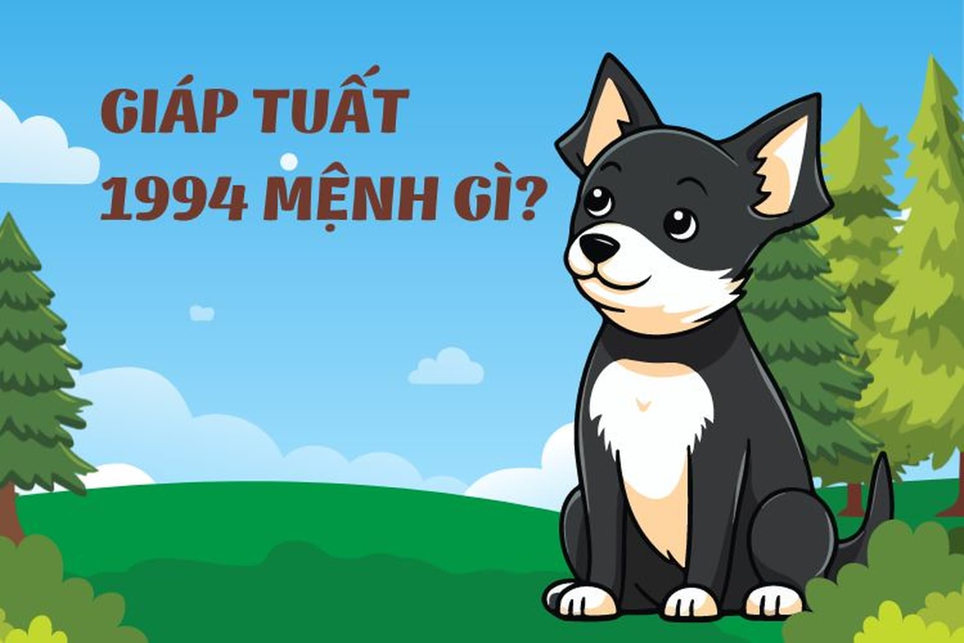 1994 và 1996 có hợp không? Những kinh nghiệm hữu ích